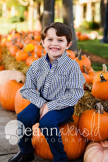 Pumpkin Patch Sugg